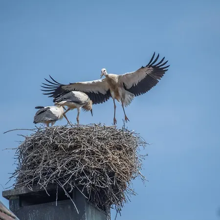 Colmar Vignes Hotel 2*