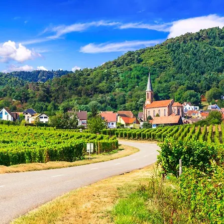 Colmar Vignes