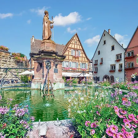 Hotel Colmar Vignes 2*