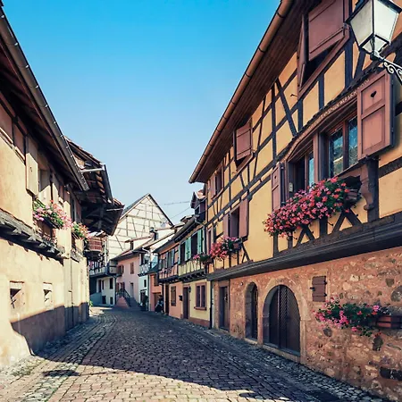 Colmar Vignes Eguisheim