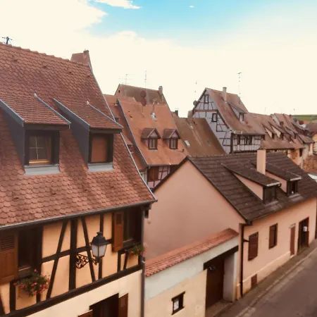 Colmar Vignes Eguisheim