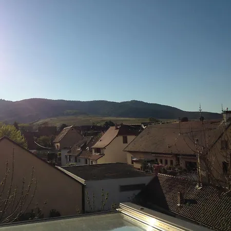 Hotel Colmar Vignes 2*