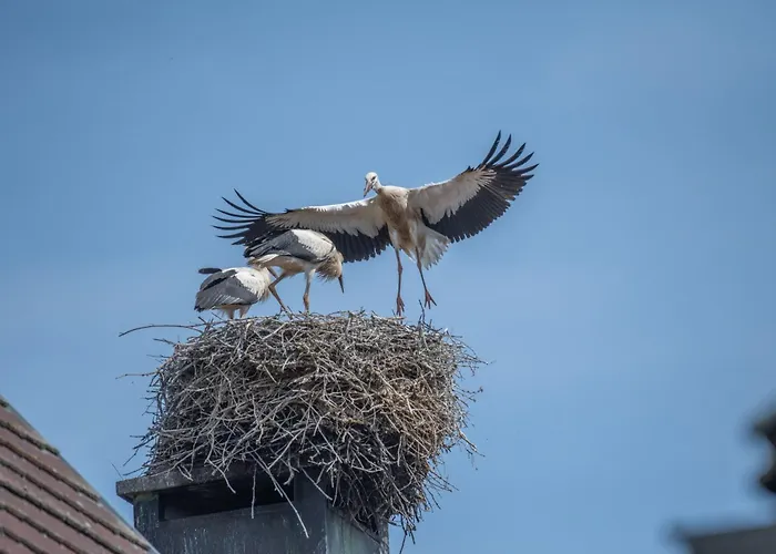 Colmar Vignes Hotel 2*