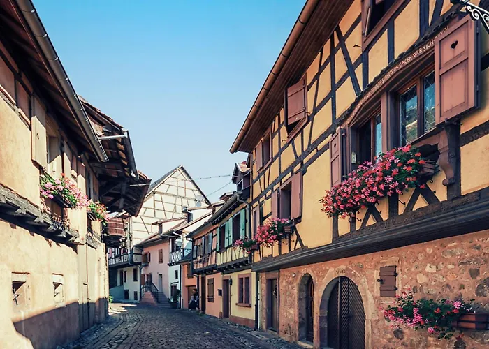 Colmar Vignes Eguisheim