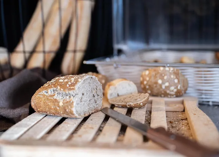 Hotel Colmar Vignes 2*