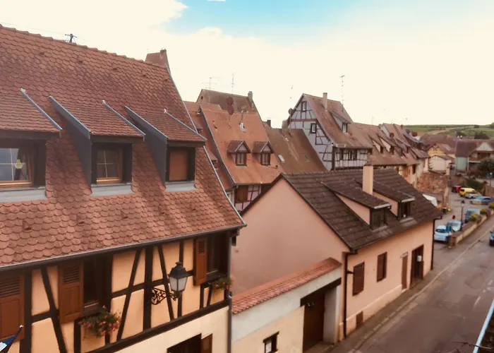 Colmar Vignes Eguisheim