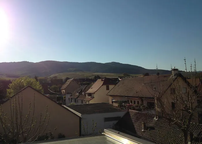 Hotel Colmar Vignes 2*